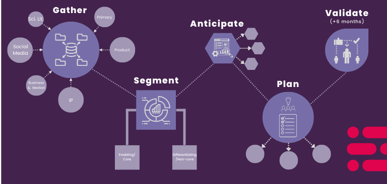 Evalueserve Anticipate the competitor framework