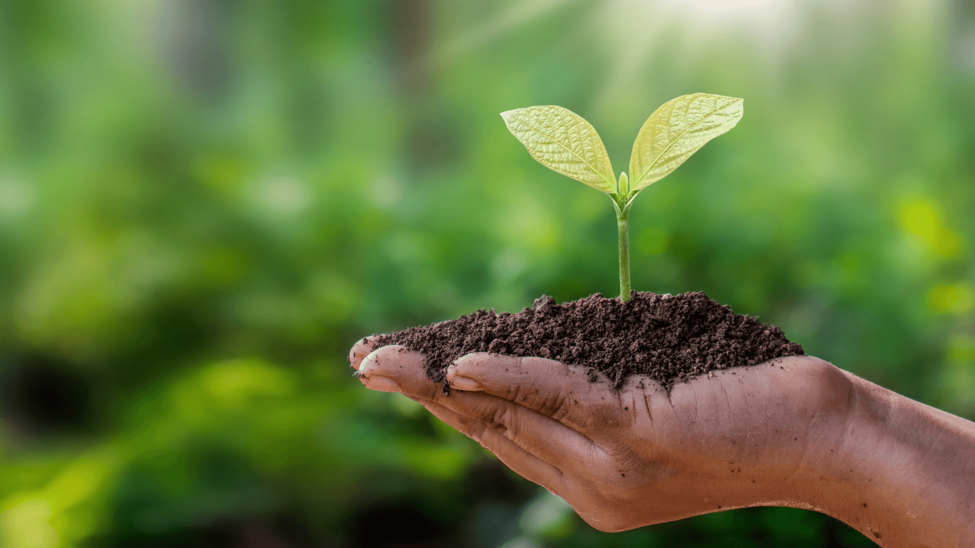 Sustainability