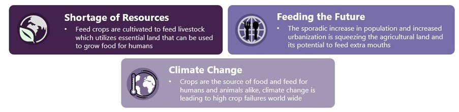 The Problem with Traditional Food Production