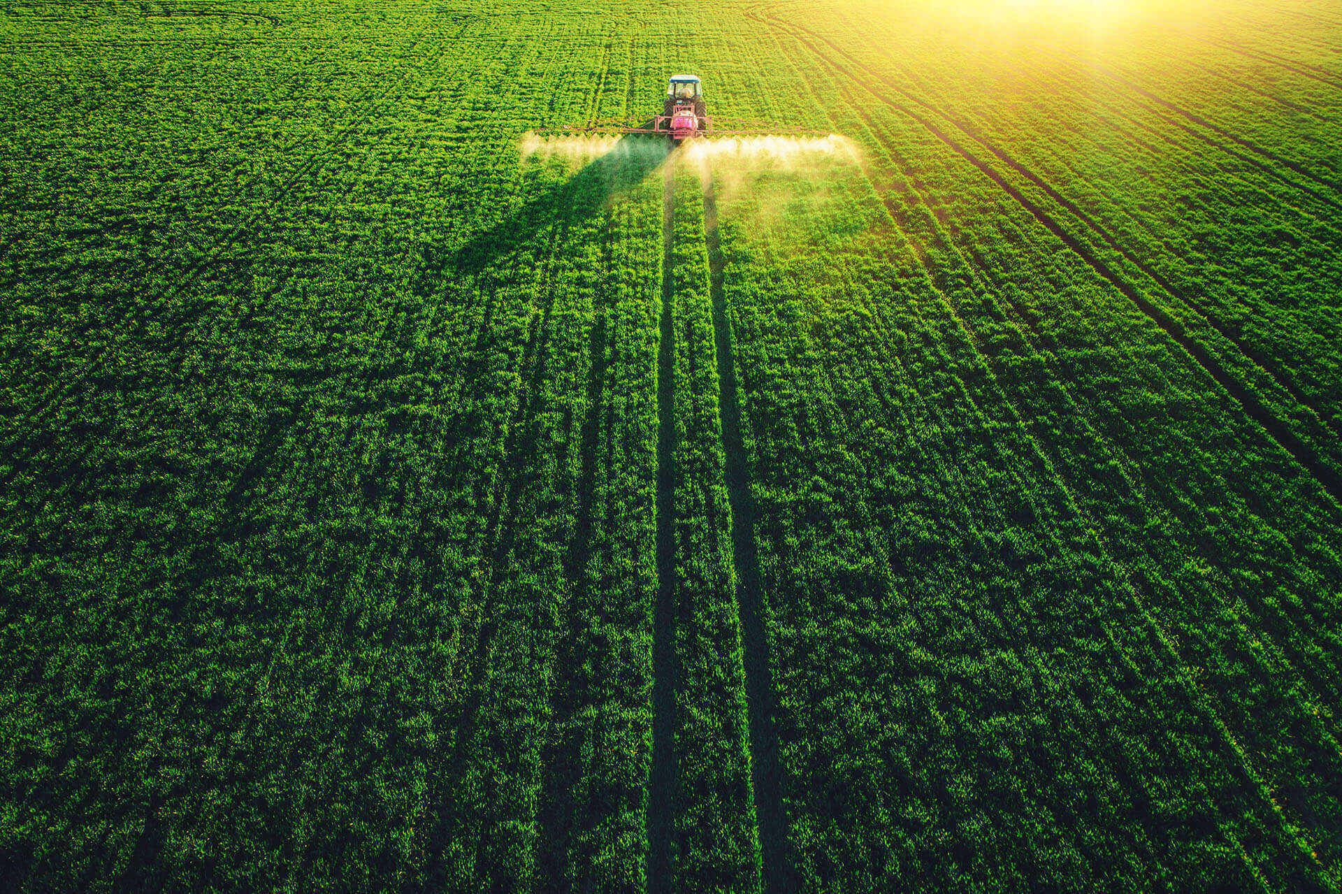 Syngenta Drives Stronger Data-Supported Decisions with Insightsfirst