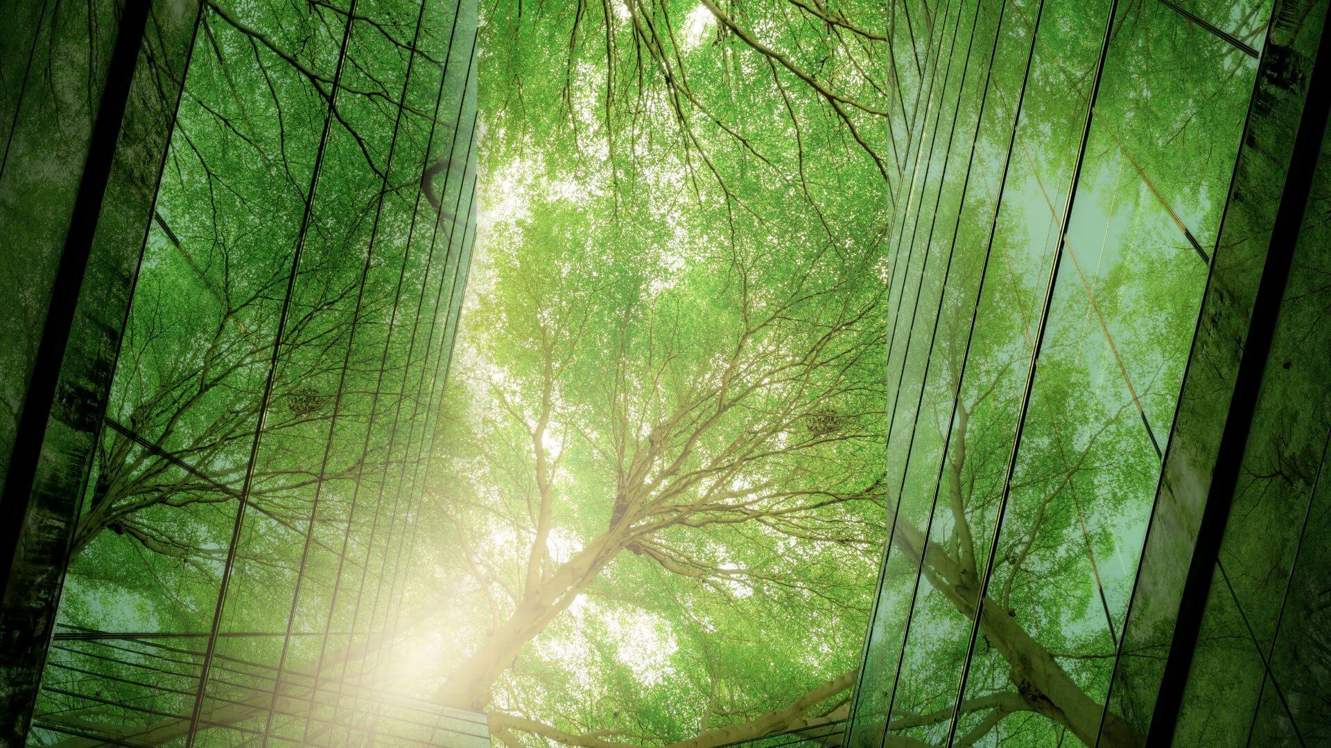 Thematic ESG Index