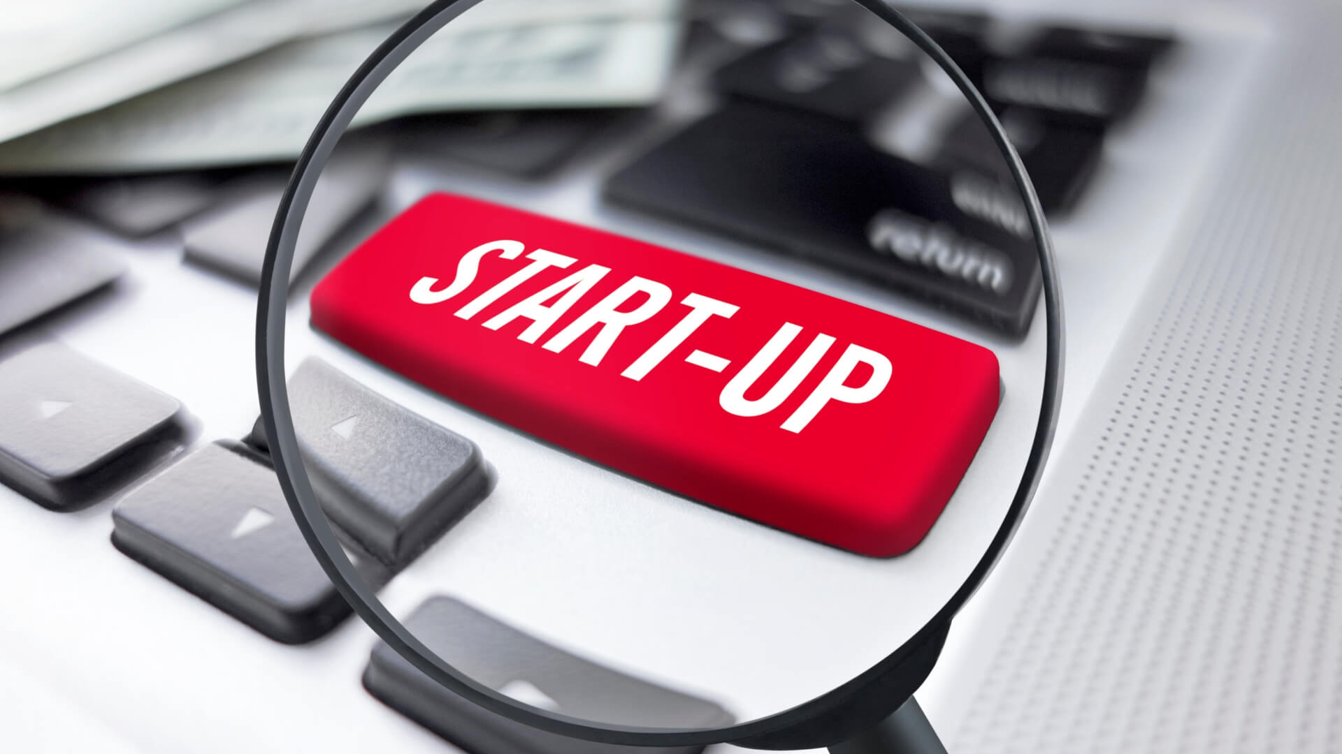 Start-up Scouting