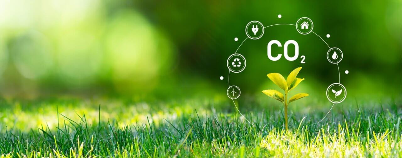 carbon emissions