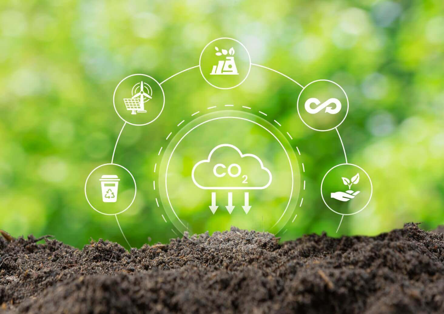 Identifying High-Value Carbon Credit Generation Opportunities for a Client